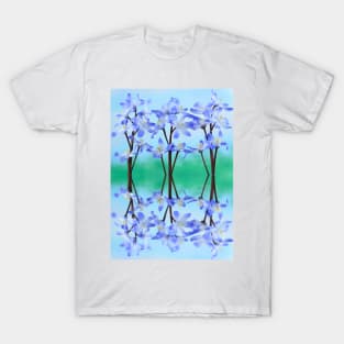 Chionodoxa forbesii  'Blue Giant'  Glory of the snow T-Shirt
